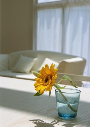 注文住宅を大分で建てたいのならば