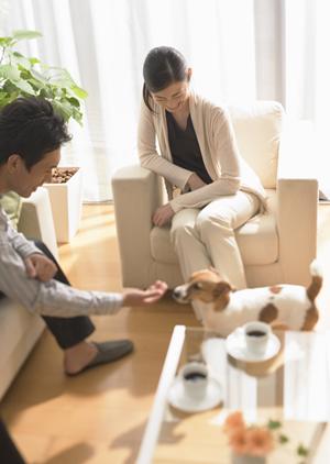 魅力的な卸売価格のガレージシャッター