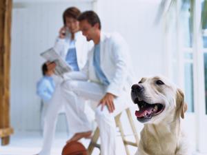 費用を抑えながら資産価値を守る施工