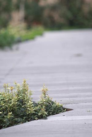 お洒落なデザインのアンテナに替えよう